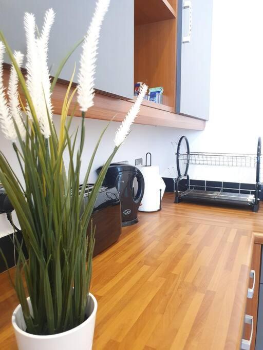 Contemporary Modern Studio Apartment - City Centre 伯明翰 外观 照片