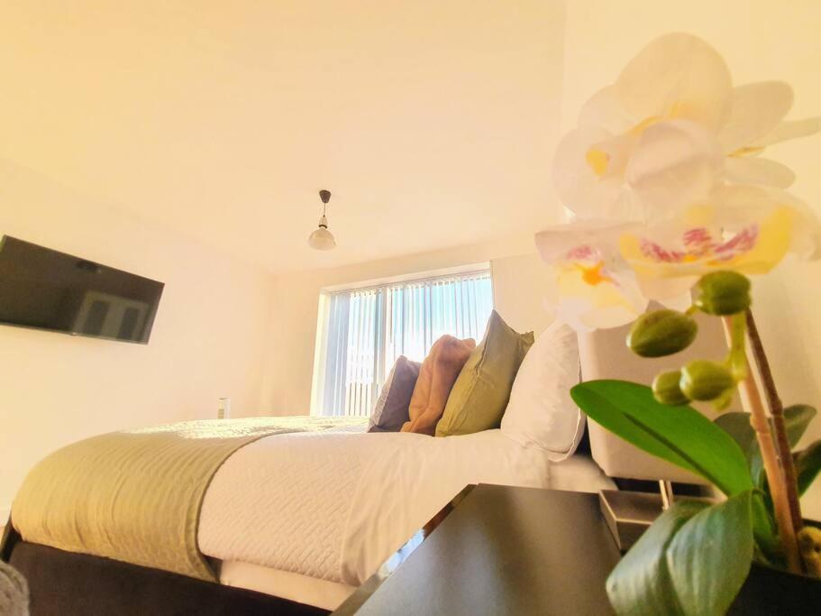 Contemporary Modern Studio Apartment - City Centre 伯明翰 外观 照片