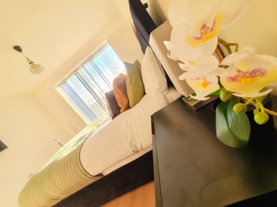 Contemporary Modern Studio Apartment - City Centre 伯明翰 外观 照片